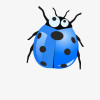 Bluecox30